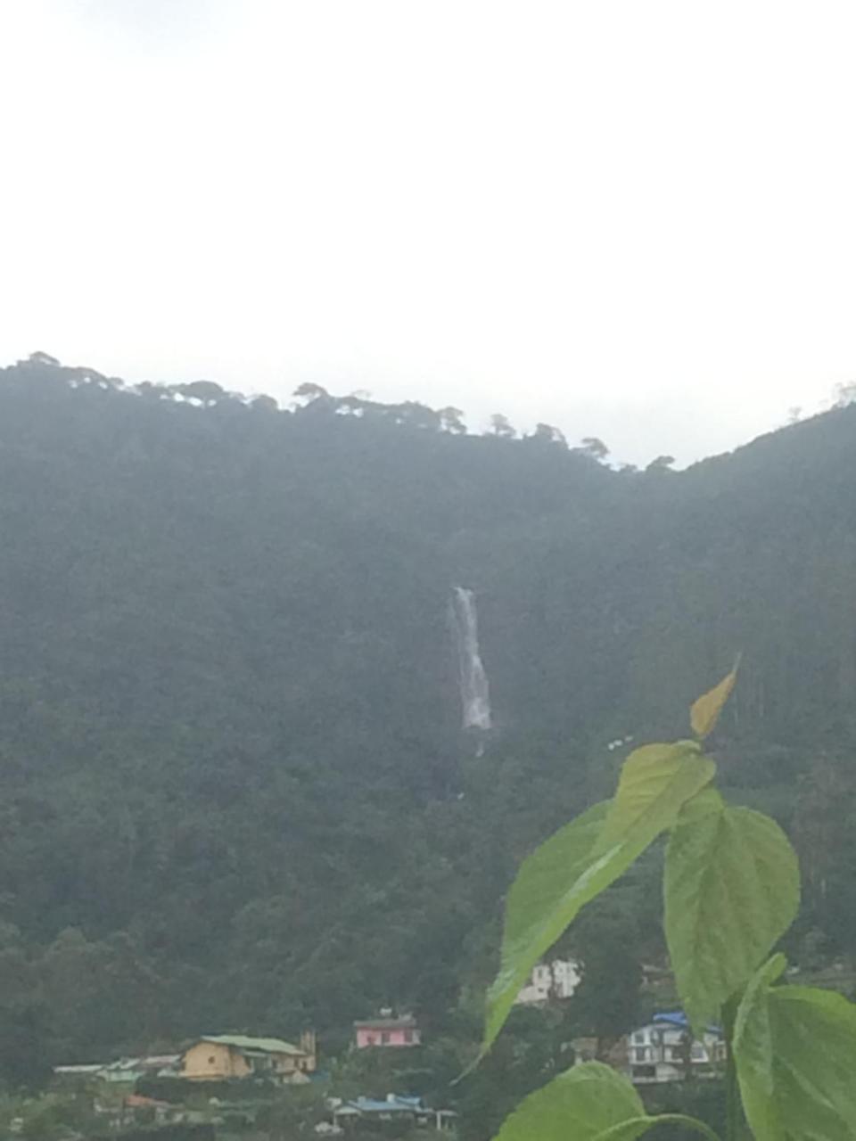 Wood Cabana Nuwaraeliya Bed & Breakfast นูวาราเอลิยา ภายนอก รูปภาพ